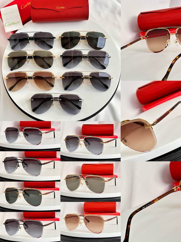 Cartier Glasses smx (185)